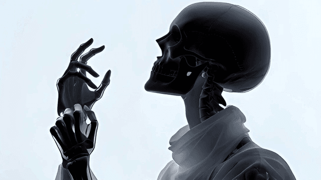 옆모습의 해골 X선 이미지