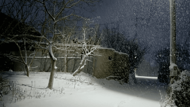 Snowy night scene with trees and buildings