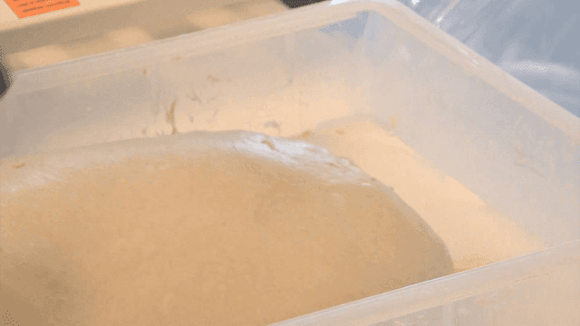 용기에서 찰진 반죽을 치대는 모습