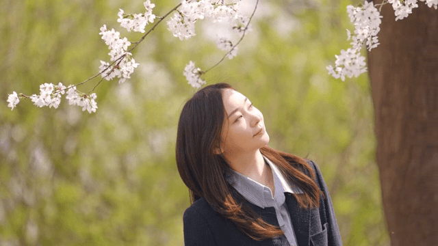 봄에 벚꽃을 즐기는 여성