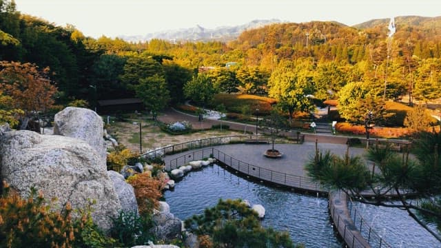 녹음이 우거진 평온한 공원과 연못