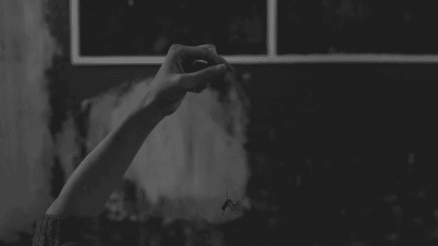 거미줄의 거미를 먹으려는 손