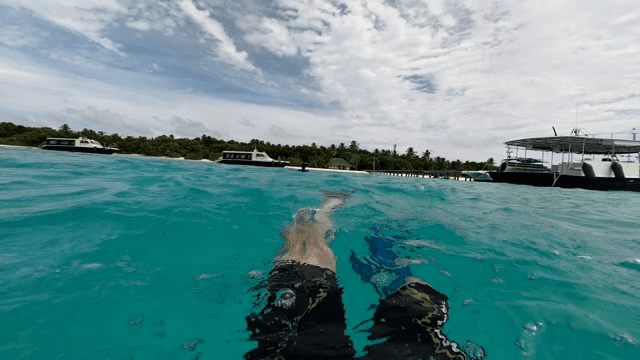Swimming in clear turquoise waters near boats