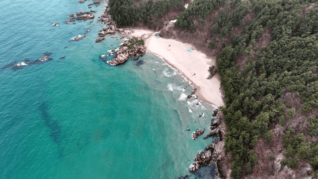 푸른 숲으로 둘러싸인 고요한 해변
