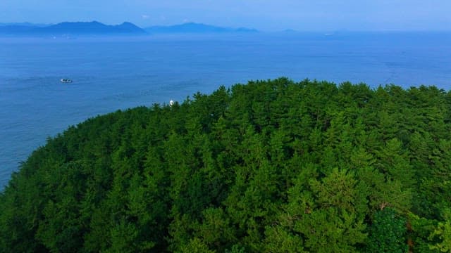 White Lighthouse between Green Forest and Blue Sea