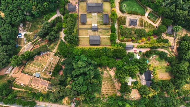 Traditional hanok village surrounded by green forest