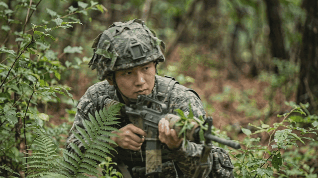 Soldier in camouflage in a forest