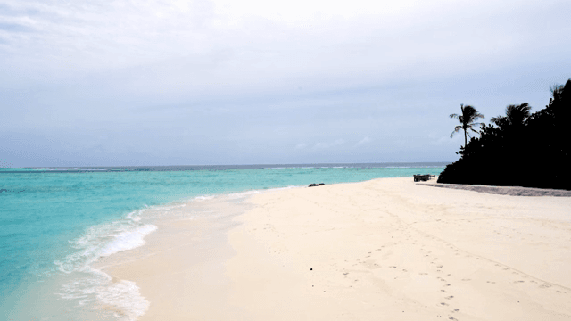 잔잔한 파도가 있는 고요한 해변