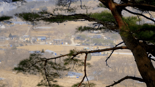 나뭇가지 사이로 보이는 시골 마을