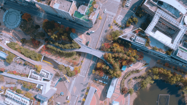 Aerial view of a city intersection with autumn foliage
