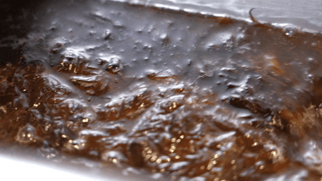 Fresh seaweed poured into pot