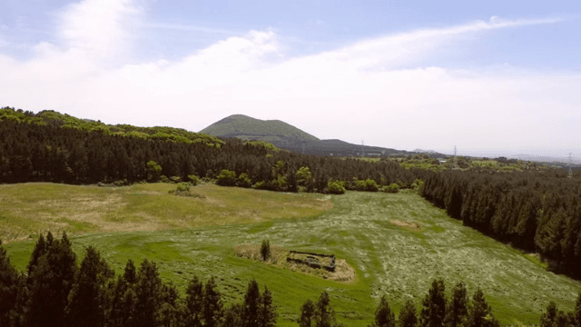 멀리 산이 보이는 넓은 초원