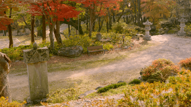 Peaceful forest path with autumn leaves