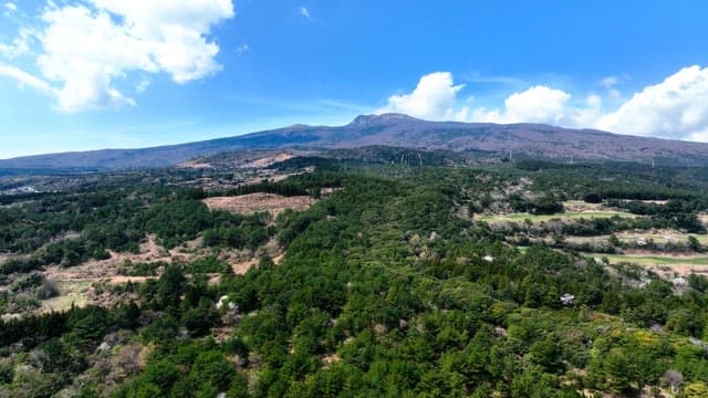 산과 숲이 있는 광활한 풍경