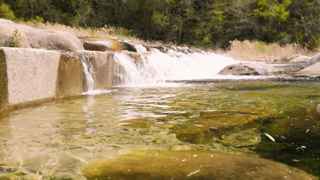 바위를 넘는 맑은 강물