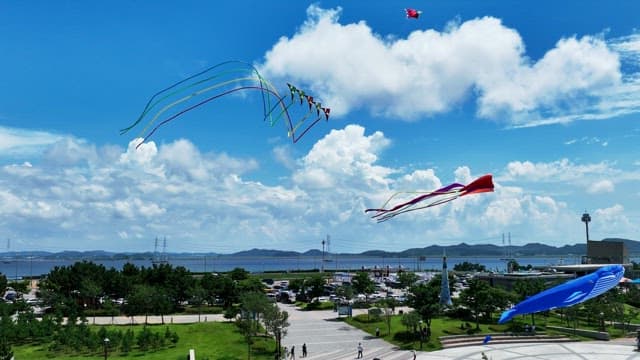 Vibrant Kites Soaring over a Coastal Park