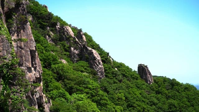 Rocky cliffs covered with lush green foliage under a clear blue sky