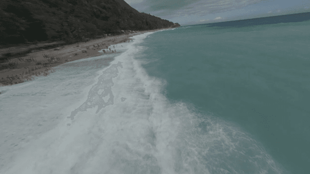 파도와 숲이 있는 아름다운 해변