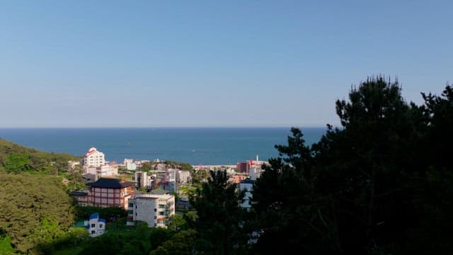 맑은 날 녹음이 어우러진 해안 도시와 아름다운 바다 전망