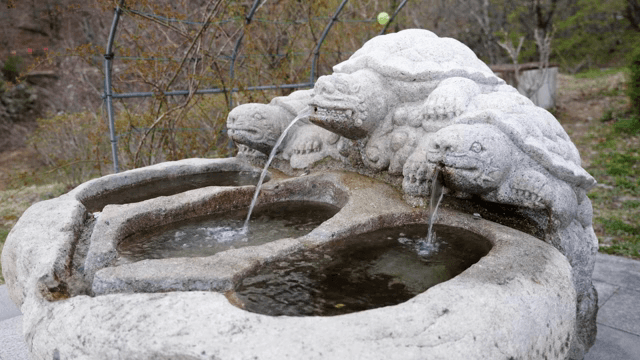 야외에 있는 전통 돌 거북 분수