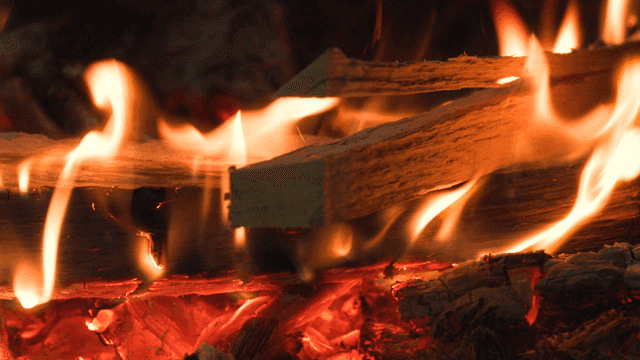 Burning logs with bright flames