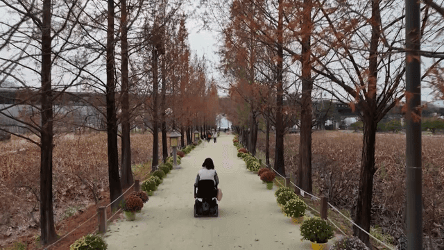 나무가 늘어선 길을 걷는 휠체어 탄 사람의 뒷모습