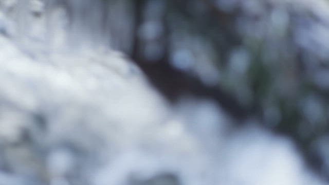 흐르는 시냇물 위에 형성된 고드름