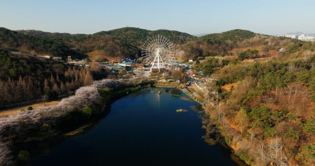 Ferris wheel overlooking a serene lake in daylight