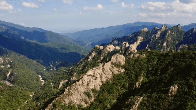 푸른 숲이 우거진 광활한 산맥