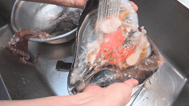 흐르는 물에 신선한 키조개 세척