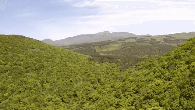 맑은 하늘 아래 푸른 산