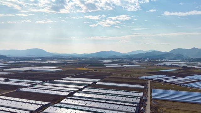 비닐하우스가 있는 넓은 농경지