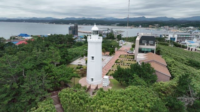 푸른 숲으로 둘러싸인 하얀 등대