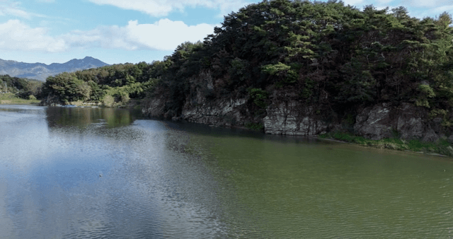 A tranquil lake surrounded by lush forests