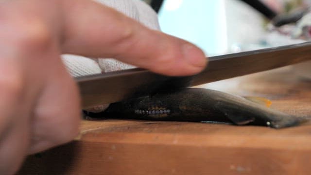 나무 도마 위에서 신선한 전어 손질하기