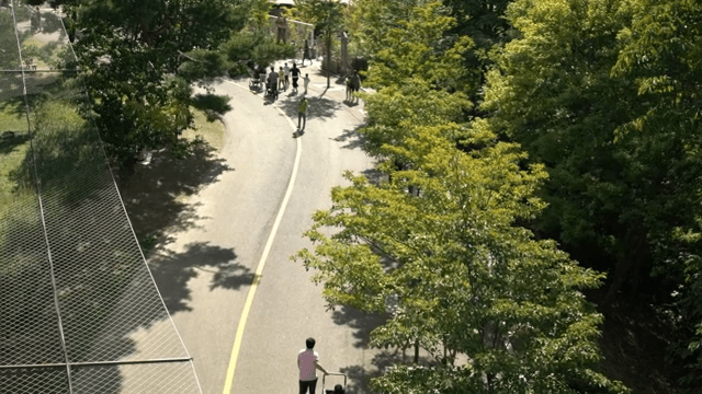 People walking on a tree-lined path