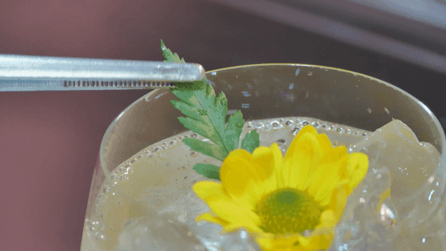 Refreshing lemonade with yellow flowers