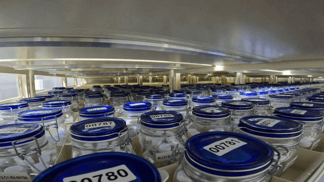 실험실의 파란 뚜껑에 라벨지들이 붙어 있는 병들