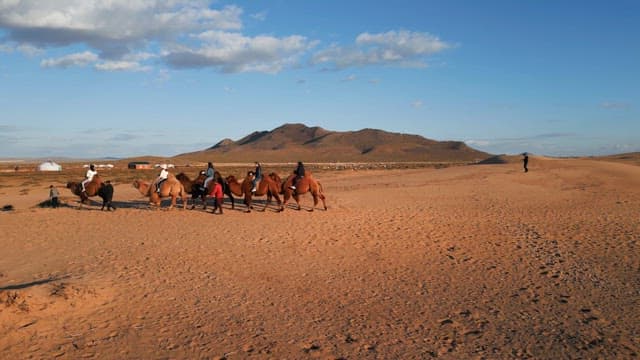 Camels and people walking in the desert