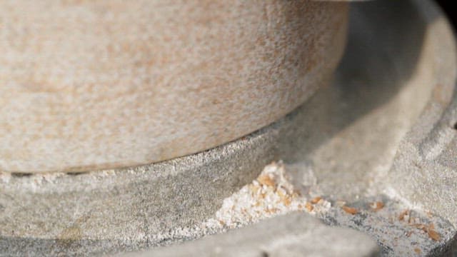 Grinding yellow wheat finely with a millstone