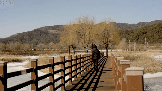 자연 속 나무 다리를 걷는 사람