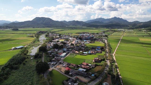 Rural village surrounded by green fields