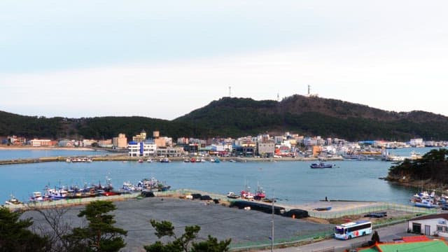 Coastal town overlooking the sea with fishing boats