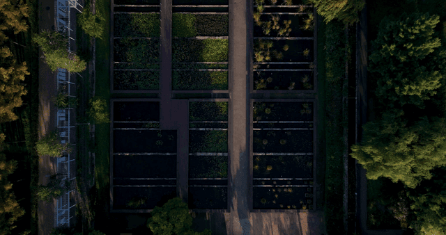 Solar panels on a rooftop surrounded by trees