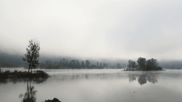 Lake and trees in morning mist