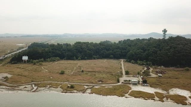 도로와 울창한 숲이 있는 해안 지역의 항공 뷰