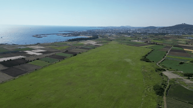 Expansive farmland by the sea