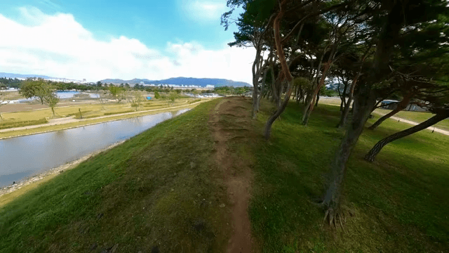 넓은 들판과 연못이 있는 공원의 풍경