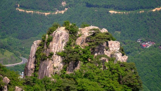 Rocky mountain peak surrounded by lush forest