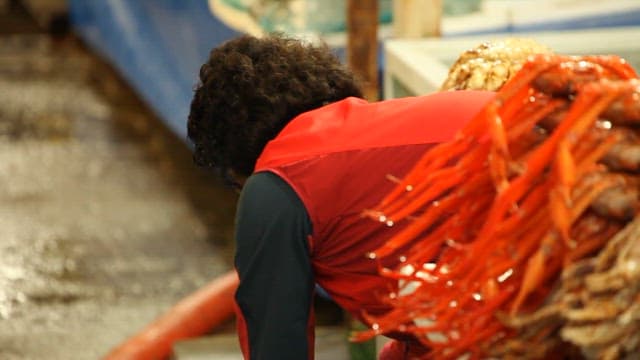 Merchant at the Fish Market Introducing Fresh Seafood